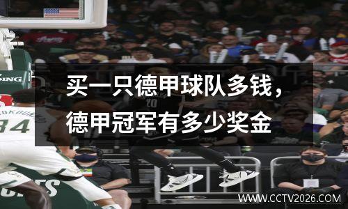 买一只德甲球队多钱，德甲冠军有多少奖金