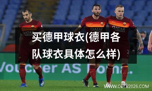 买德甲球衣(德甲各队球衣具体怎么样)