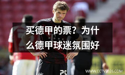 买德甲的票？为什么德甲球迷氛围好