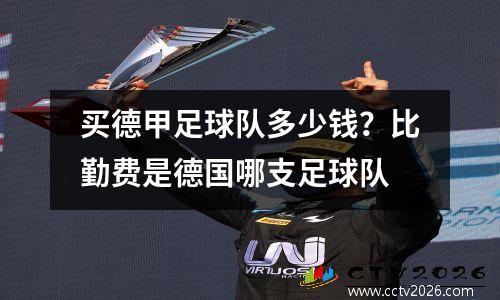 买德甲足球队多少钱？比勤费是德国哪支足球队