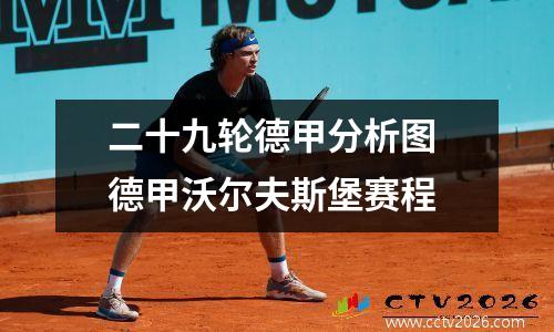 二十九轮德甲分析图 德甲沃尔夫斯堡赛程