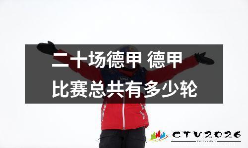 二十场德甲 德甲比赛总共有多少轮