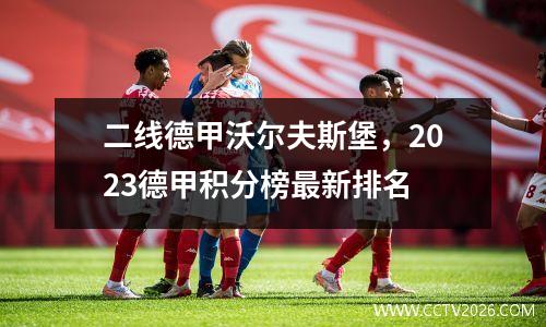 二线德甲沃尔夫斯堡，2023德甲积分榜最新排名
