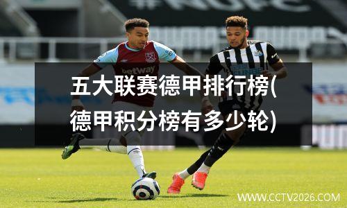 五大联赛德甲排行榜(德甲积分榜有多少轮)