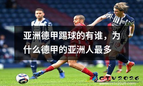 亚洲德甲踢球的有谁，为什么德甲的亚洲人最多