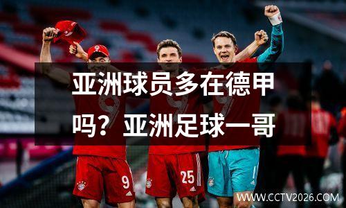亚洲球员多在德甲吗？亚洲足球一哥