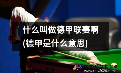 什么叫做德甲联赛啊(德甲是什么意思)