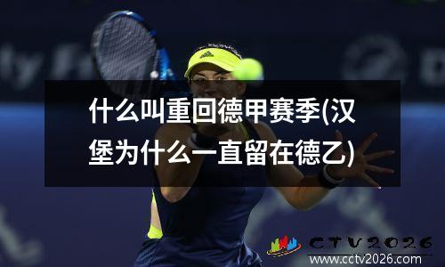 什么叫重回德甲赛季(汉堡为什么一直留在德乙)