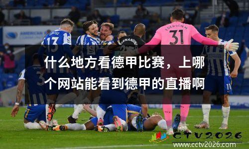 什么地方看德甲比赛，上哪个网站能看到德甲的直播啊