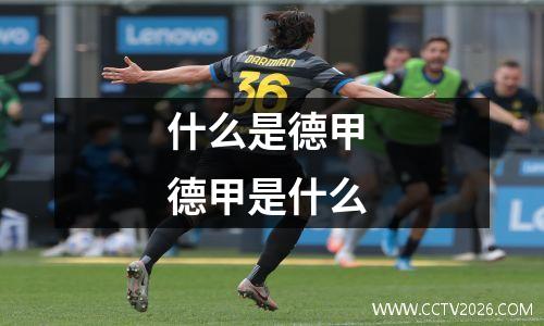 什么是德甲 德甲是什么
