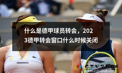 什么是德甲球员转会，2023德甲转会窗口什么时候关闭
