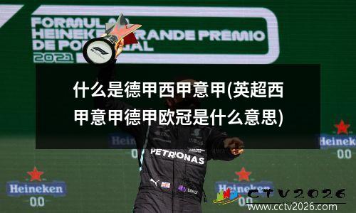 什么是德甲西甲意甲(英超西甲意甲德甲欧冠是什么意思)