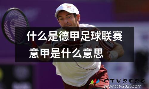 什么是德甲足球联赛 意甲是什么意思