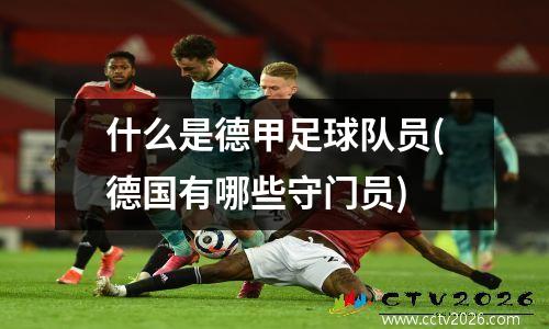 什么是德甲足球队员(德国有哪些守门员)