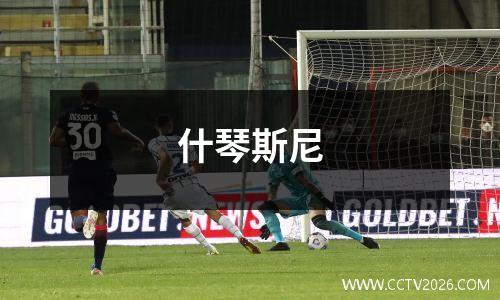 什琴斯尼