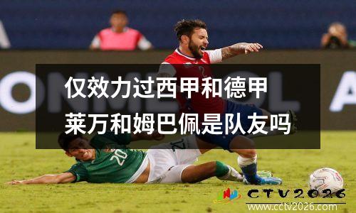 仅效力过西甲和德甲 莱万和姆巴佩是队友吗