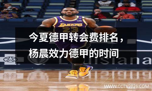 今夏德甲转会费排名，杨晨效力德甲的时间