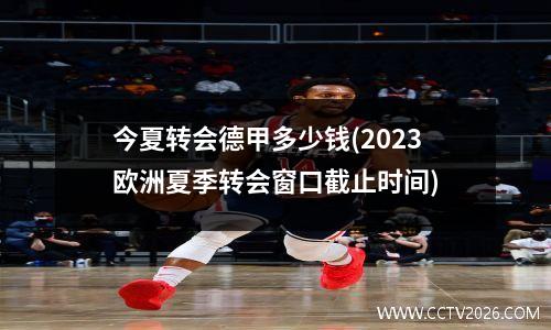 今夏转会德甲多少钱(2023欧洲夏季转会窗口截止时间)