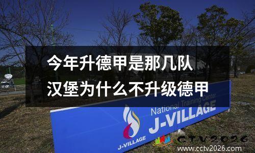 今年升德甲是那几队 汉堡为什么不升级德甲