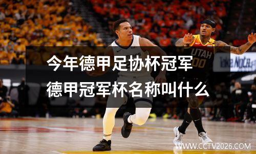 今年德甲足协杯冠军 德甲冠军杯名称叫什么