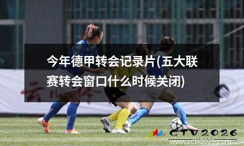 今年德甲转会记录片(五大联赛转会窗口什么时候关闭)