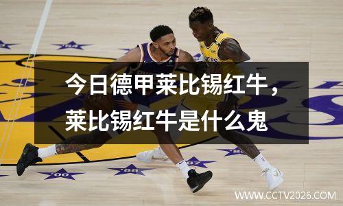 今日德甲莱比锡红牛，莱比锡红牛是什么鬼