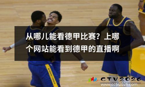 从哪儿能看德甲比赛？上哪个网站能看到德甲的直播啊