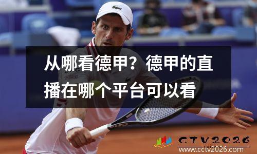从哪看德甲？德甲的直播在哪个平台可以看