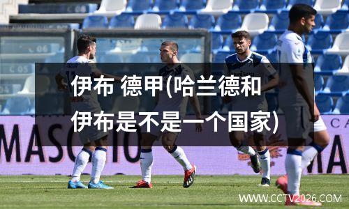 伊布 德甲(哈兰德和伊布是不是一个国家)