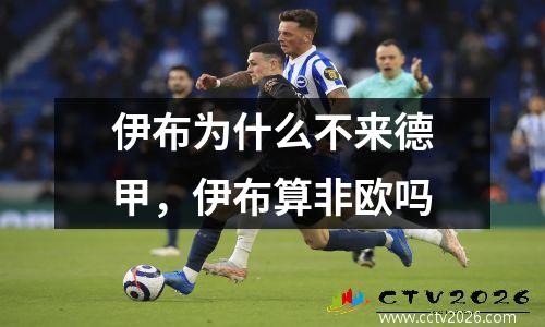 伊布为什么不来德甲，伊布算非欧吗