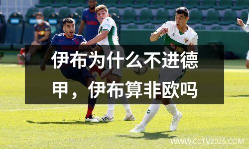 伊布为什么不进德甲，伊布算非欧吗
