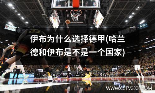 伊布为什么选择德甲(哈兰德和伊布是不是一个国家)