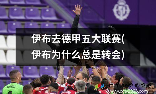 伊布去德甲五大联赛(伊布为什么总是转会)