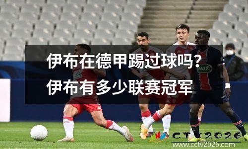 伊布在德甲踢过球吗？伊布有多少联赛冠军