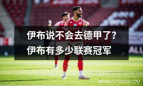 伊布说不会去德甲了？伊布有多少联赛冠军