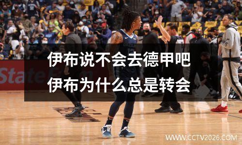 伊布说不会去德甲吧 伊布为什么总是转会