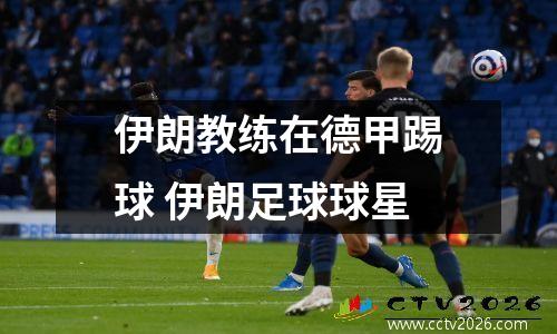 伊朗教练在德甲踢球 伊朗足球球星