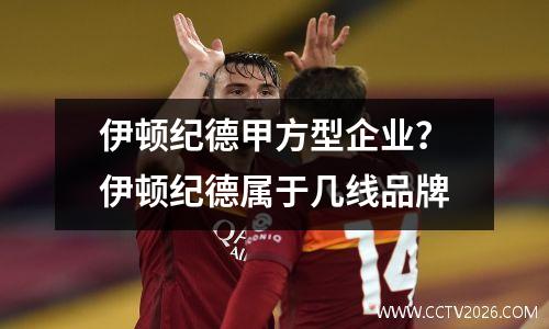伊顿纪德甲方型企业？伊顿纪德属于几线品牌