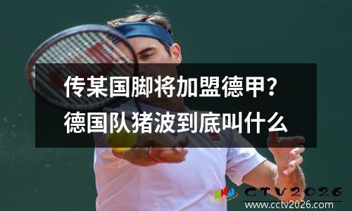 传某国脚将加盟德甲？德国队猪波到底叫什么