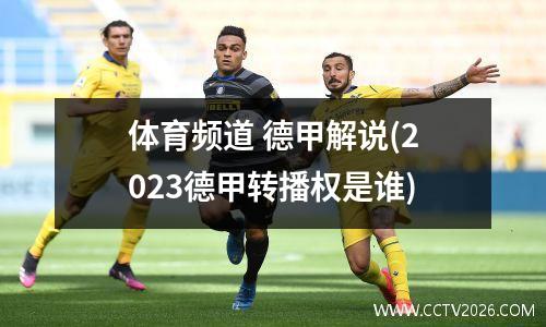 体育频道 德甲解说(2023德甲转播权是谁)