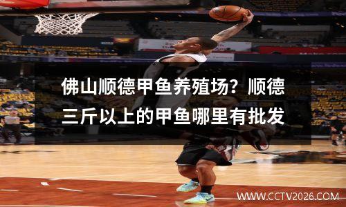 佛山顺德甲鱼养殖场？顺德三斤以上的甲鱼哪里有批发