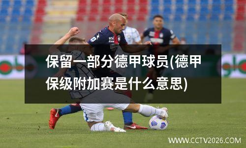 保留一部分德甲球员(德甲保级附加赛是什么意思)