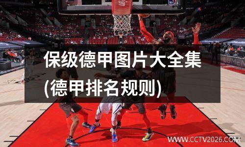 保级德甲图片大全集(德甲排名规则)