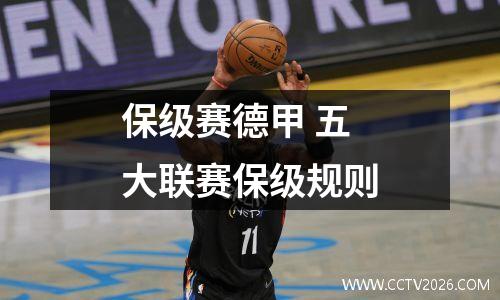 保级赛德甲 五大联赛保级规则