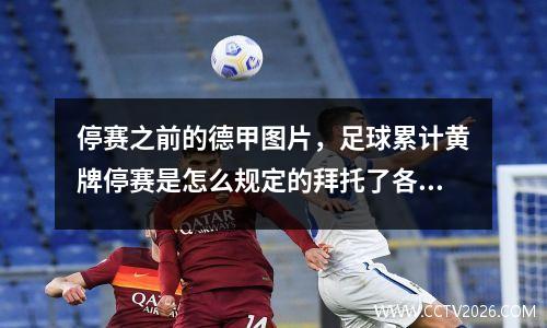 停赛之前的德甲图片，足球累计黄牌停赛是怎么规定的拜托了各位谢谢