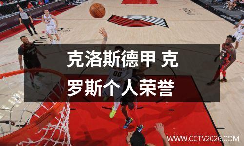 克洛斯德甲 克罗斯个人荣誉
