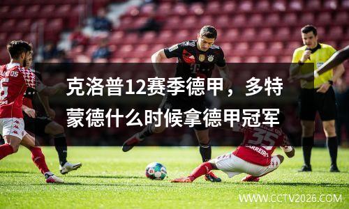 克洛普12赛季德甲，多特蒙德什么时候拿德甲冠军