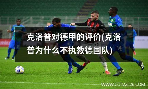 克洛普对德甲的评价(克洛普为什么不执教德国队)