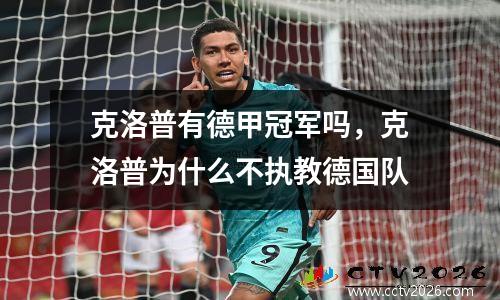 克洛普有德甲冠军吗，克洛普为什么不执教德国队