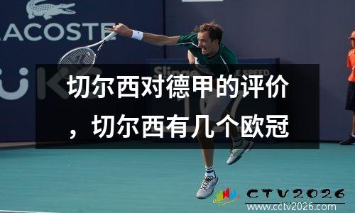 切尔西对德甲的评价，切尔西有几个欧冠